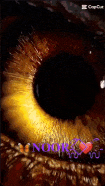 a close up of a person 's eye with a heart and the word nook written on it .