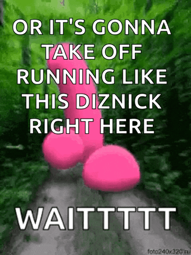 a picture of a pink penis with the words or it 's gonna take off running like this diznick right here waitttttt