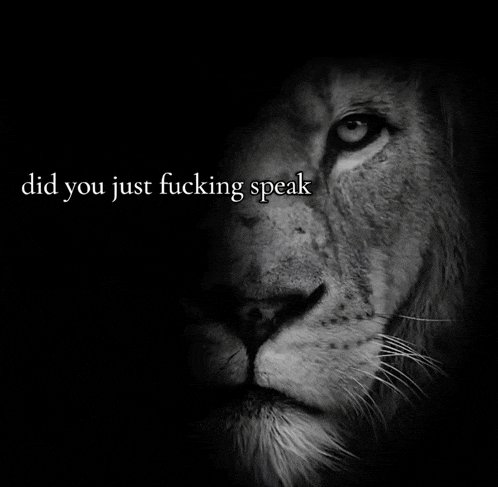 a black and white photo of a lion and the words did you just fucking speak