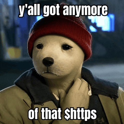 a picture of a dog wearing a red hat that says y all got anymore of that s https