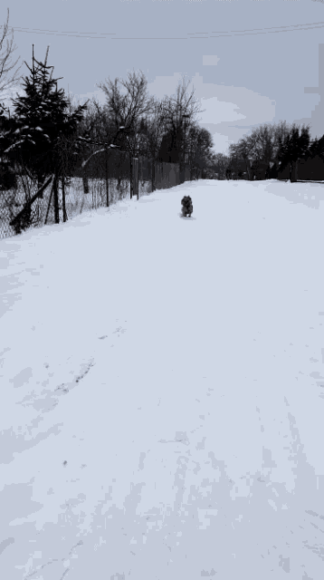 a person is sledding down a snowy hill