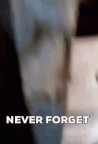 Never Foget Rip GIF - Never Foget Rip Danny GIFs
