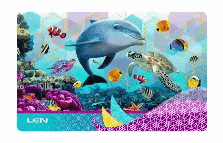 a dolphin and sea turtle are swimming in a coral reef on a len card