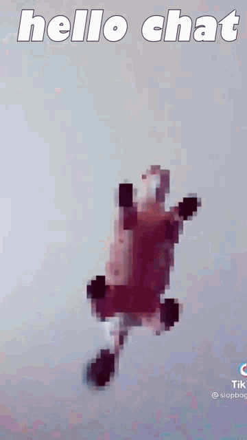 a pixelated image of a turtle with the words hello chat below it