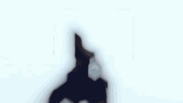 a blurry picture of a woman standing in front of a white wall .