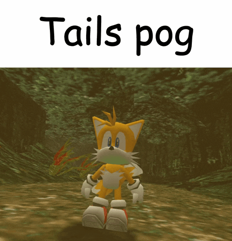 a picture of tails from the video game sonic the hedgehog with the caption tails pog
