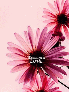 Romantic Love Romance GIF - Romantic Love Romance Flowers GIFs