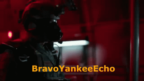 Bravo Yankee Echo Salute GIF - Bravo Yankee Echo Salute Soldier GIFs