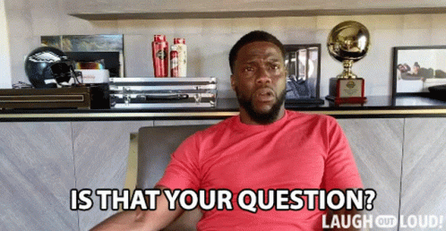 Is That Your Question Kevin Hart GIF - Is That Your Question Kevin Hart Cold As Balls GIFs