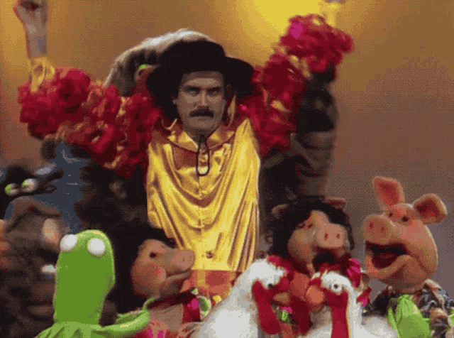 Muppet Show Muppets GIF - Muppet Show Muppets John Cleese GIFs