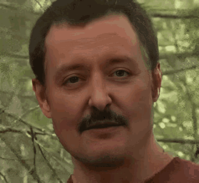 a man with a mustache is looking at the camera .