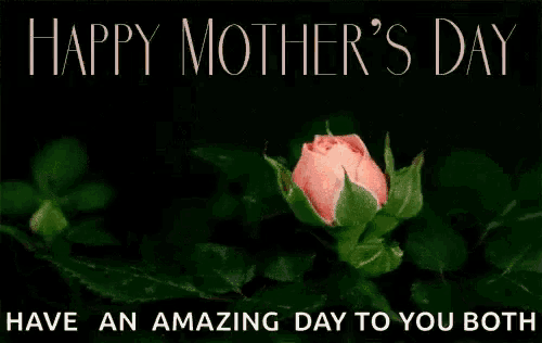 a pink rose with the words happy mother 's day have an amazing day to you both below it