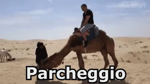 Cammello Deserto Parcheggio Parcheggiare GIF - Camel Desert Car Park GIFs