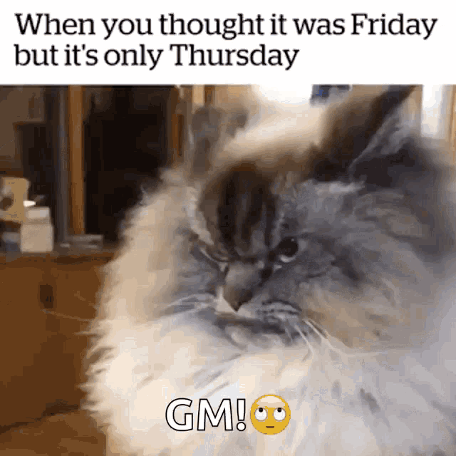 Thursday Friday GIF - Thursday Friday Funny GIFs