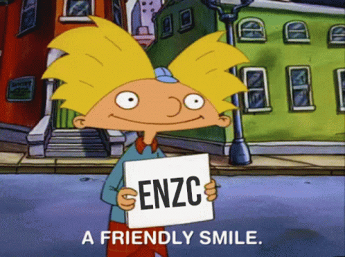 Hey Arnold Enzc GIF