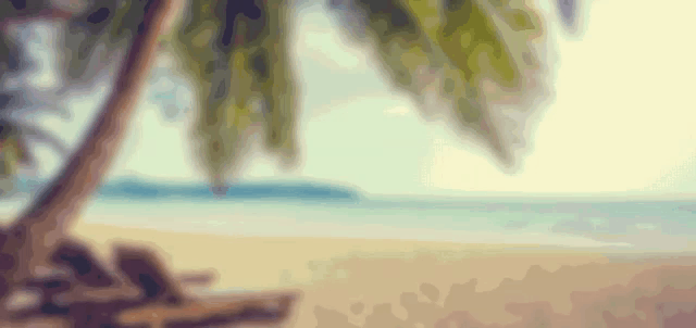 a blurry picture of a beach with palm trees and the ocean in the background