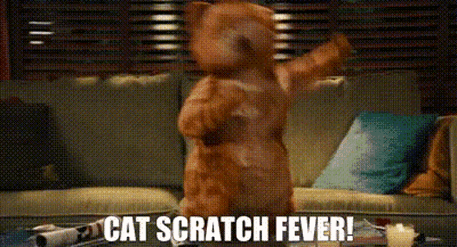 Garfield Cat Scratch Fever GIF - Garfield Cat Scratch Fever Rock Music GIFs