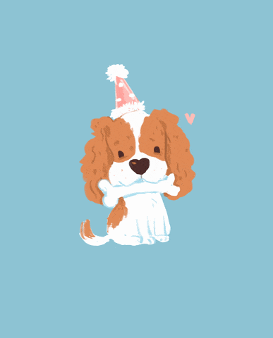 a brown and white dog wearing a birthday hat