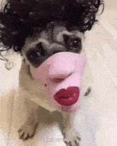 a pug dog wearing a pink mask and a wig with red lips .