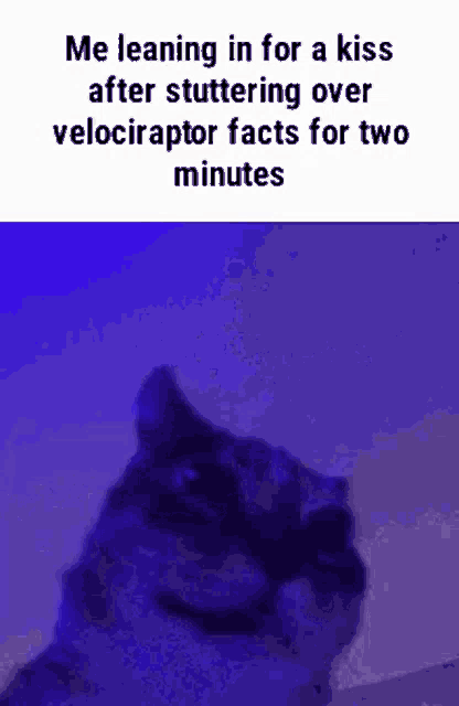 a cat is leaning in for a kiss after stuttering over velociraptor facts for two minutes on a blue background .