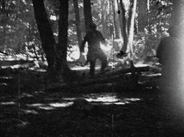 a black and white photo of a man standing in the woods .