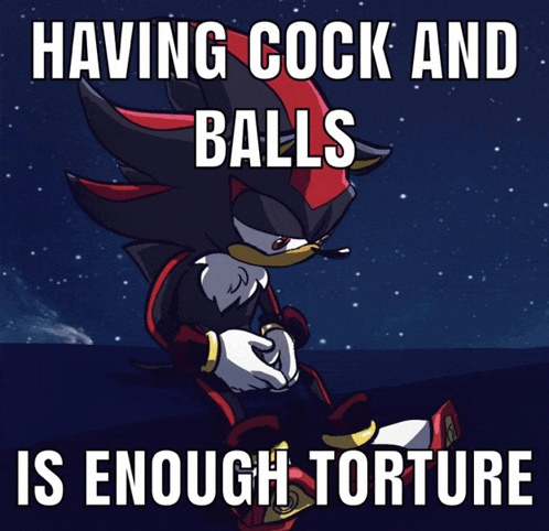 a picture of shadow the hedgehog with the words having cock and balls is enough torture below him