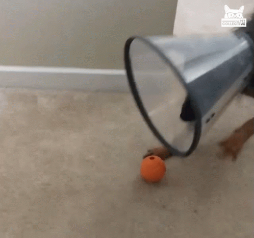 Oh No Try GIF - Oh No Try Cone GIFs