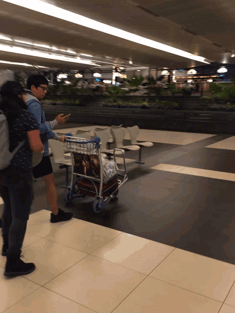 a woman pushing a cart with a child on it