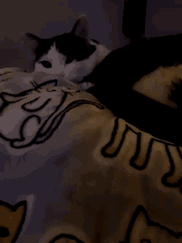 a black and white cat is laying on a blanket that says ' snoopy ' on it