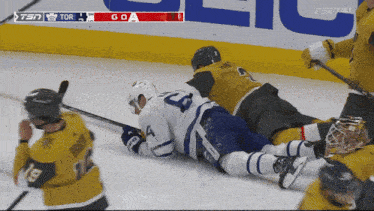 a hockey game is being played on tsn channel