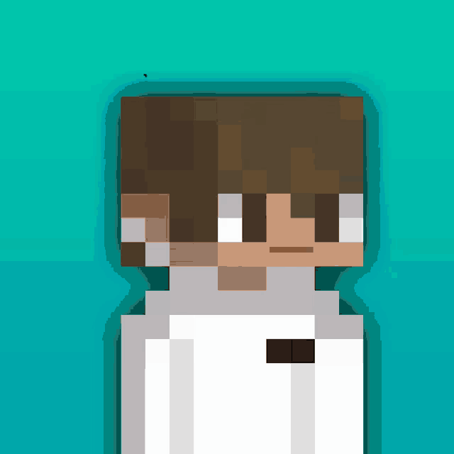 a pixel art drawing of a person with brown hair and a white shirt