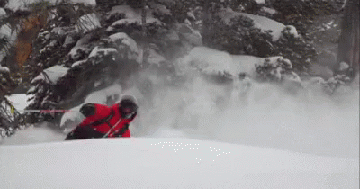 Powder Skiing GIF
