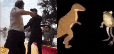 a man is fighting another man and a frog is dancing next to a dinosaur .