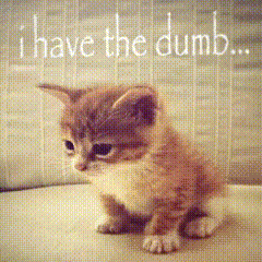 a picture of a kitten with the words i have the dumb above it