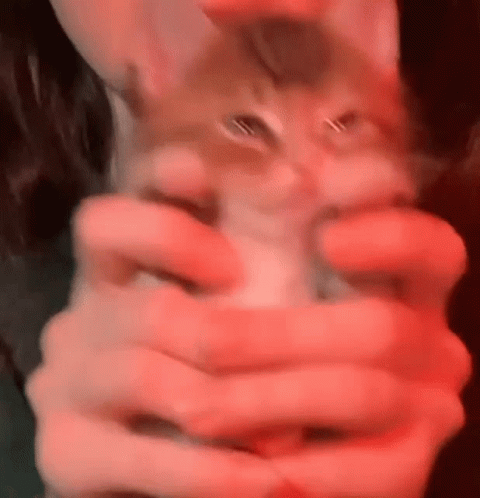 Cat Cat Wiggle GIF - Cat Cat Wiggle Cat Dance GIFs