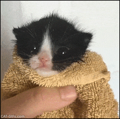a person is holding a black and white kitten wrapped in a yellow towel .