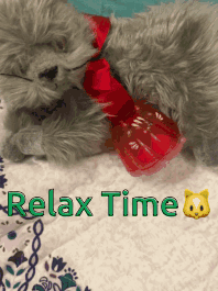 Relax Relaxing GIF