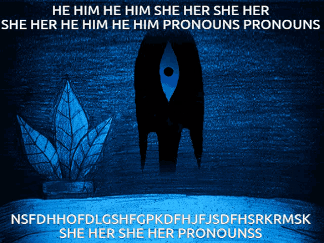 a poster that says he him he him she her she her she her he him pronouns pronouns on it