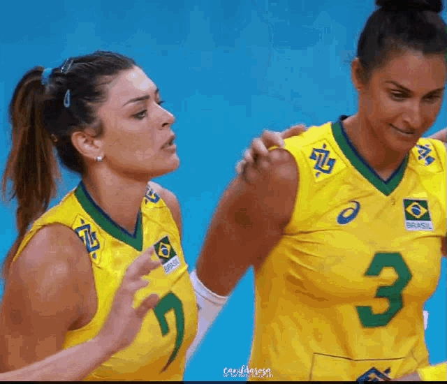 two female volleyball players wearing yellow uniforms with the number 3 on them