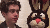a young man is looking at a stuffed bunny rabbit .