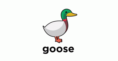 Polo Goose GIF - Polo Goose Polo Goose GIFs