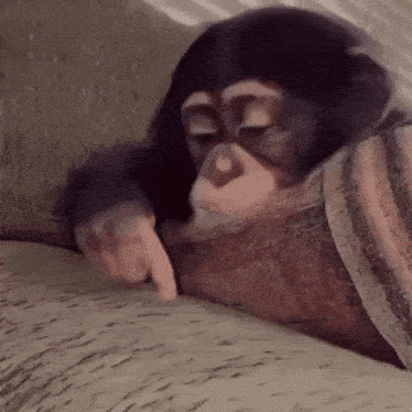 a chimpanzee is pointing at something on a book