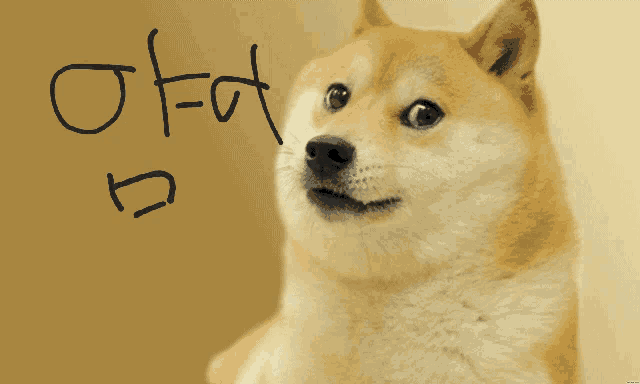 a dog with a drawing on its face that says ' fat ' on it
