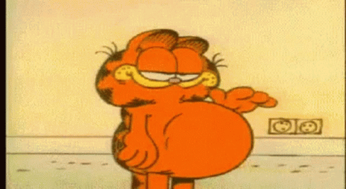 Garfield Fulltummy GIF