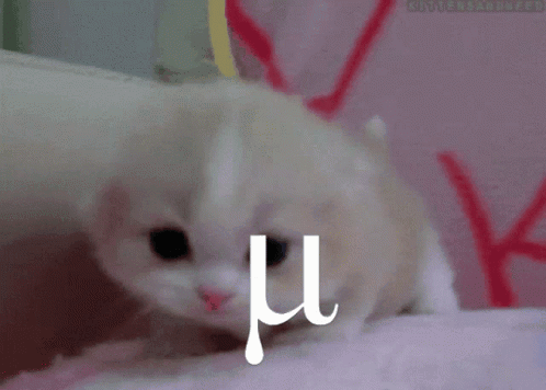 Mu Cat GIF - Mu Cat GIFs