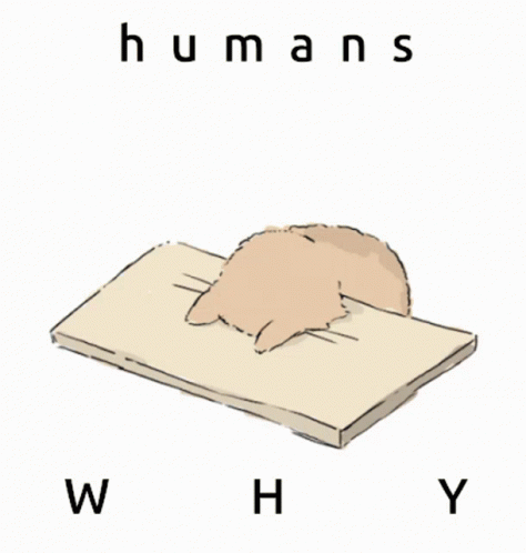 Humans Why GIF - Humans Why Oh GIFs