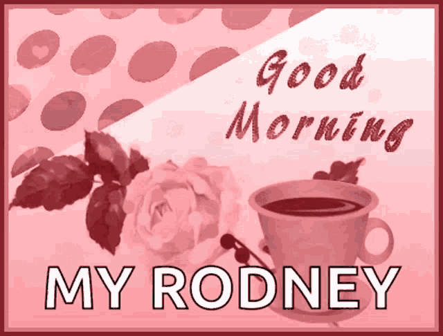 Morning Good Morning GIF