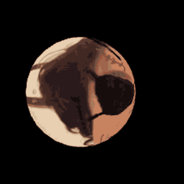 Punished Venom GIF