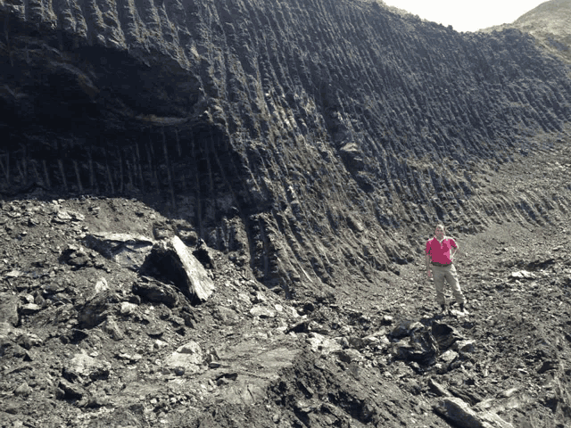 a man in a pink shirt stands in front of a rocky cliff