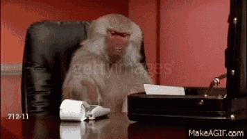 a monkey is sitting at a desk with a calculator and a roll of paper